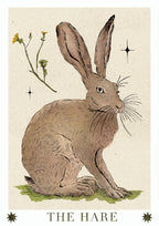 The Hare